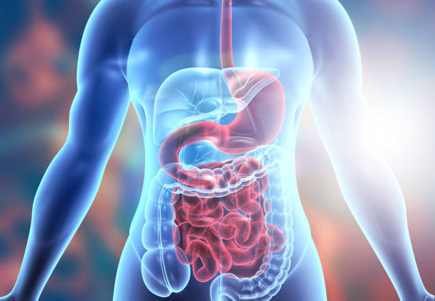 Gastro & Digestive Care