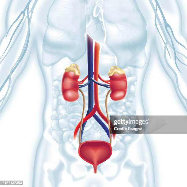 Kidney and Urology Care