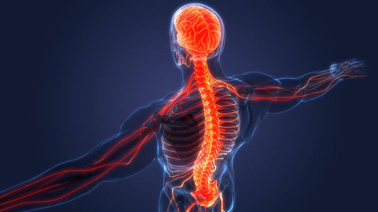 Neurology Care